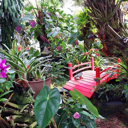 Paradise Cottage At Anthurium Hale Hilo Eksteriør bilde