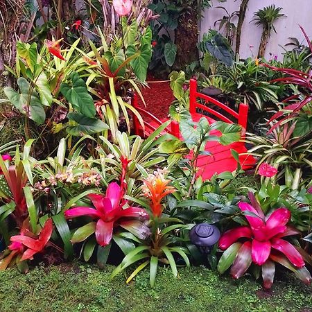 Paradise Cottage At Anthurium Hale Hilo Eksteriør bilde