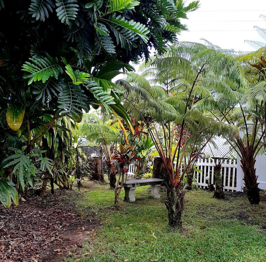 Paradise Cottage At Anthurium Hale Hilo Eksteriør bilde