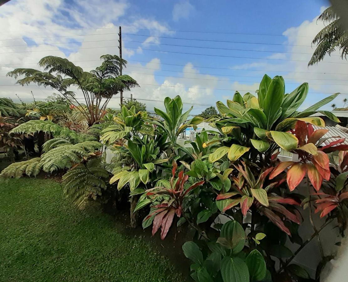 Paradise Cottage At Anthurium Hale Hilo Eksteriør bilde