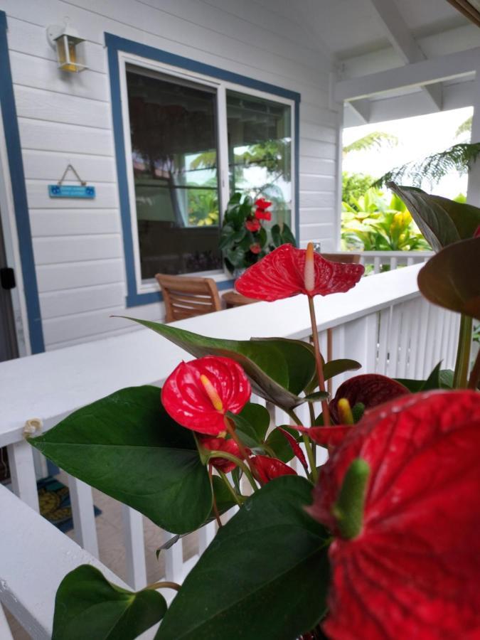 Paradise Cottage At Anthurium Hale Hilo Eksteriør bilde